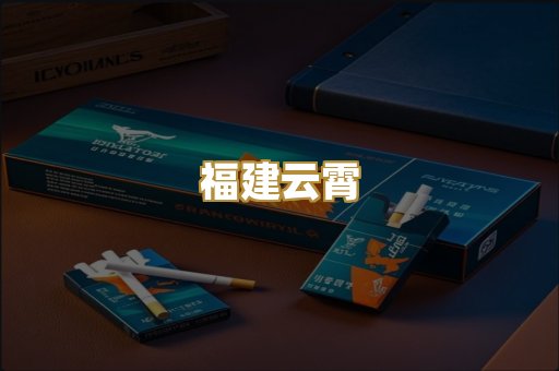 福建云霄